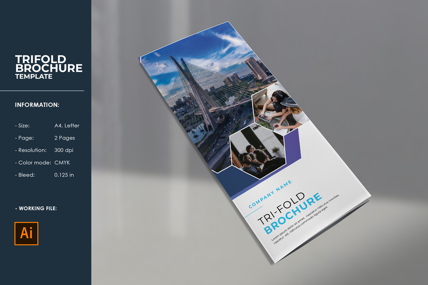 Business Trifold Brochure Template. Adobe Illustrator Template