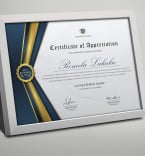 Certificate Templates 353631