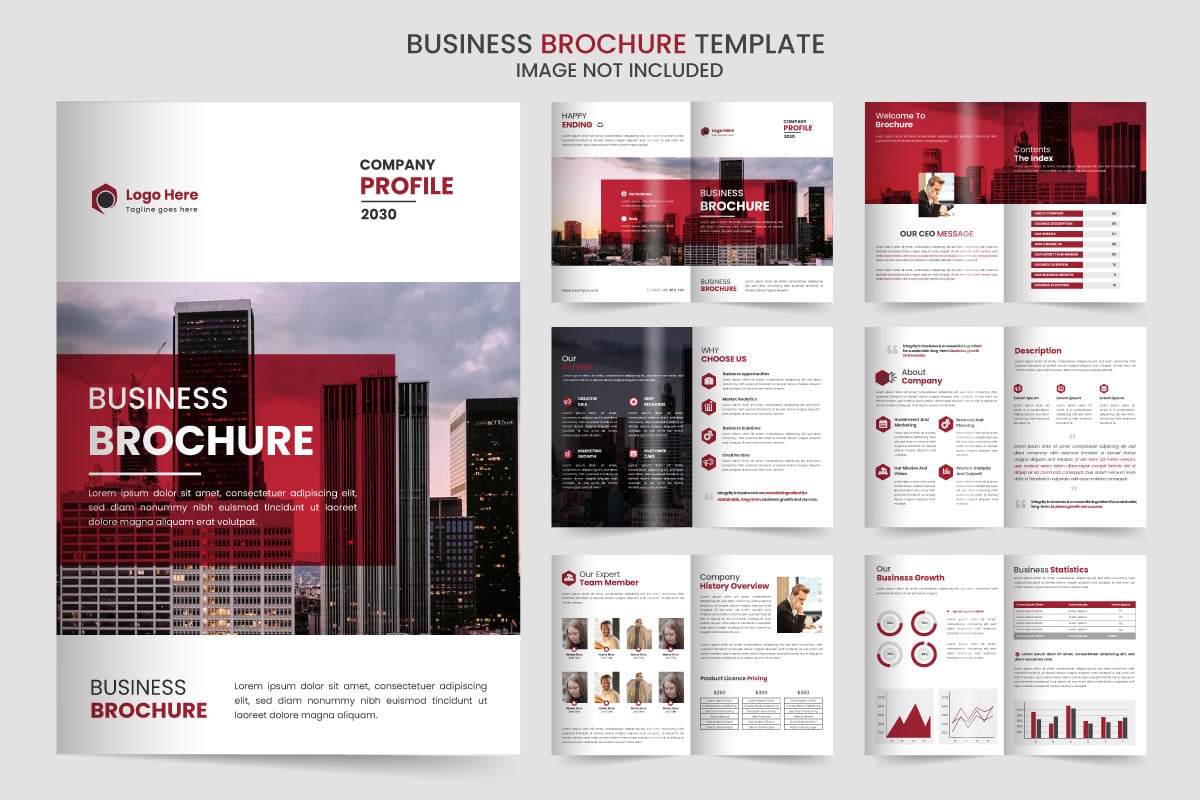 company profile brochure design Brochure creative design Multipurpose template with cover idea