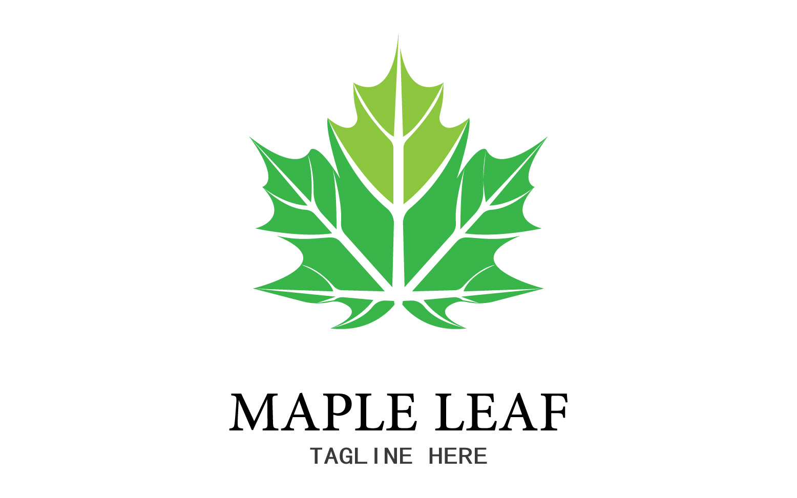 Leaf Mapple vector logo icon v4