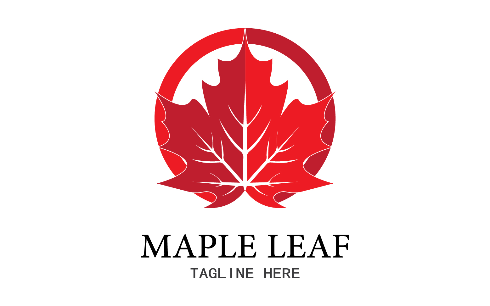 Leaf Mapple vector logo icon v35