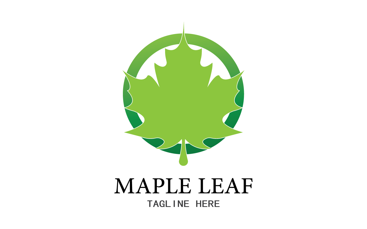 Leaf Mapple vector logo icon v46