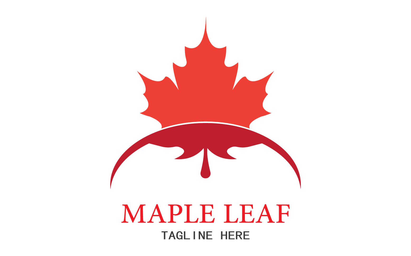 Leaf Mapple vector logo icon v43