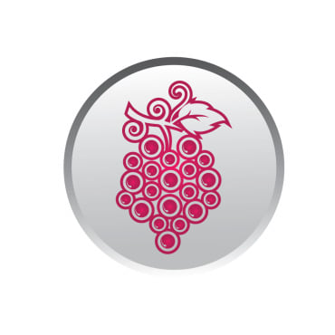Icon Fruit Logo Templates 356995