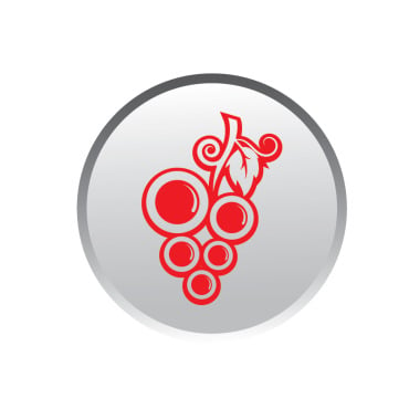 Icon Fruit Logo Templates 357014