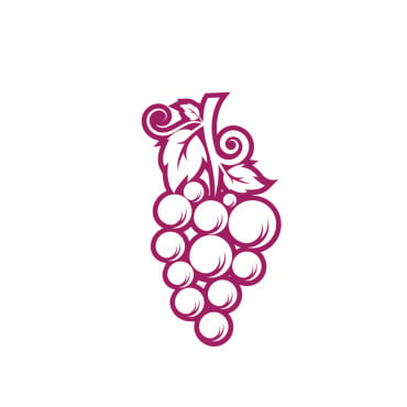Icon Fruit Logo Templates 357015