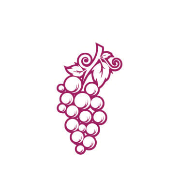 Icon Fruit Logo Templates 357019