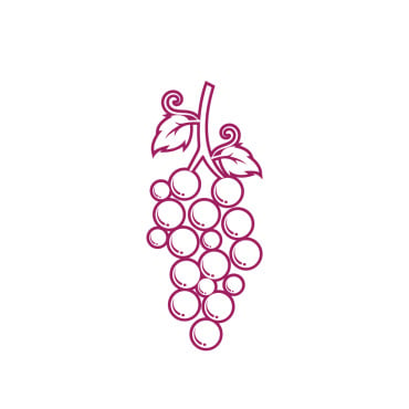 Icon Fruit Logo Templates 357027