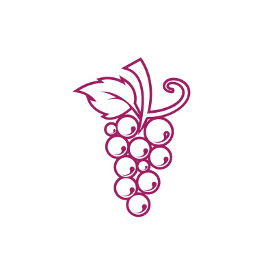 Icon Fruit Logo Templates 357031