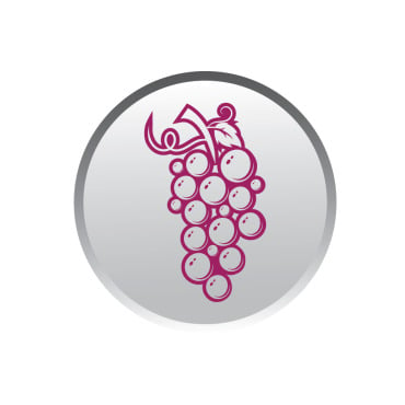 Icon Fruit Logo Templates 357047