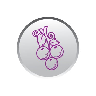 Icon Fruit Logo Templates 357057