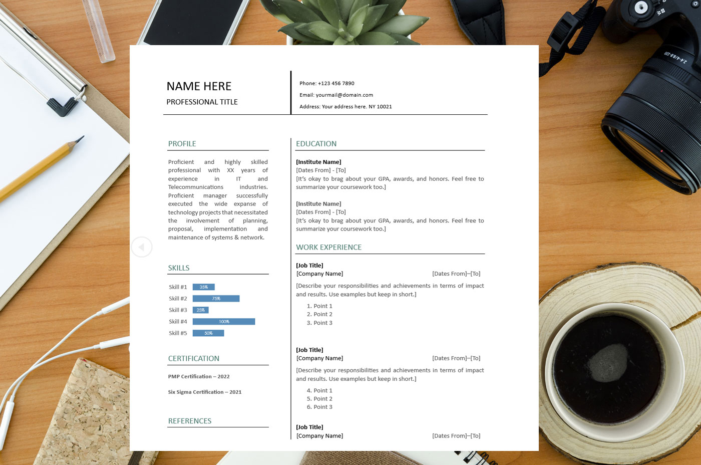 Clean Professional Resume Template