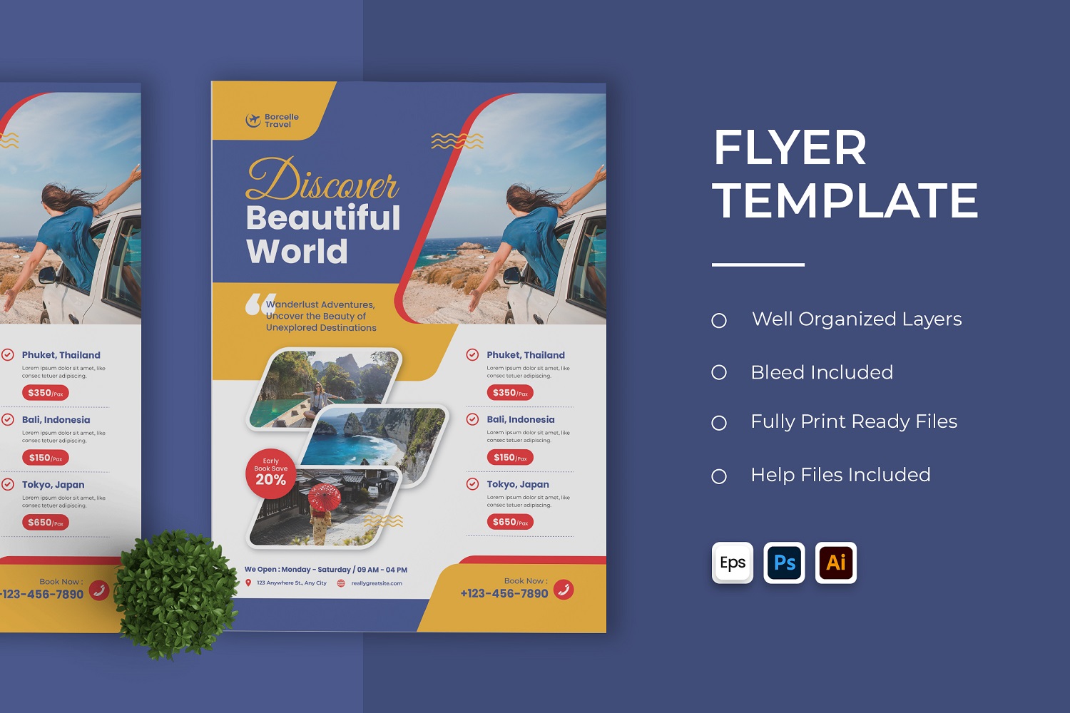 Discover World Travel Flyer