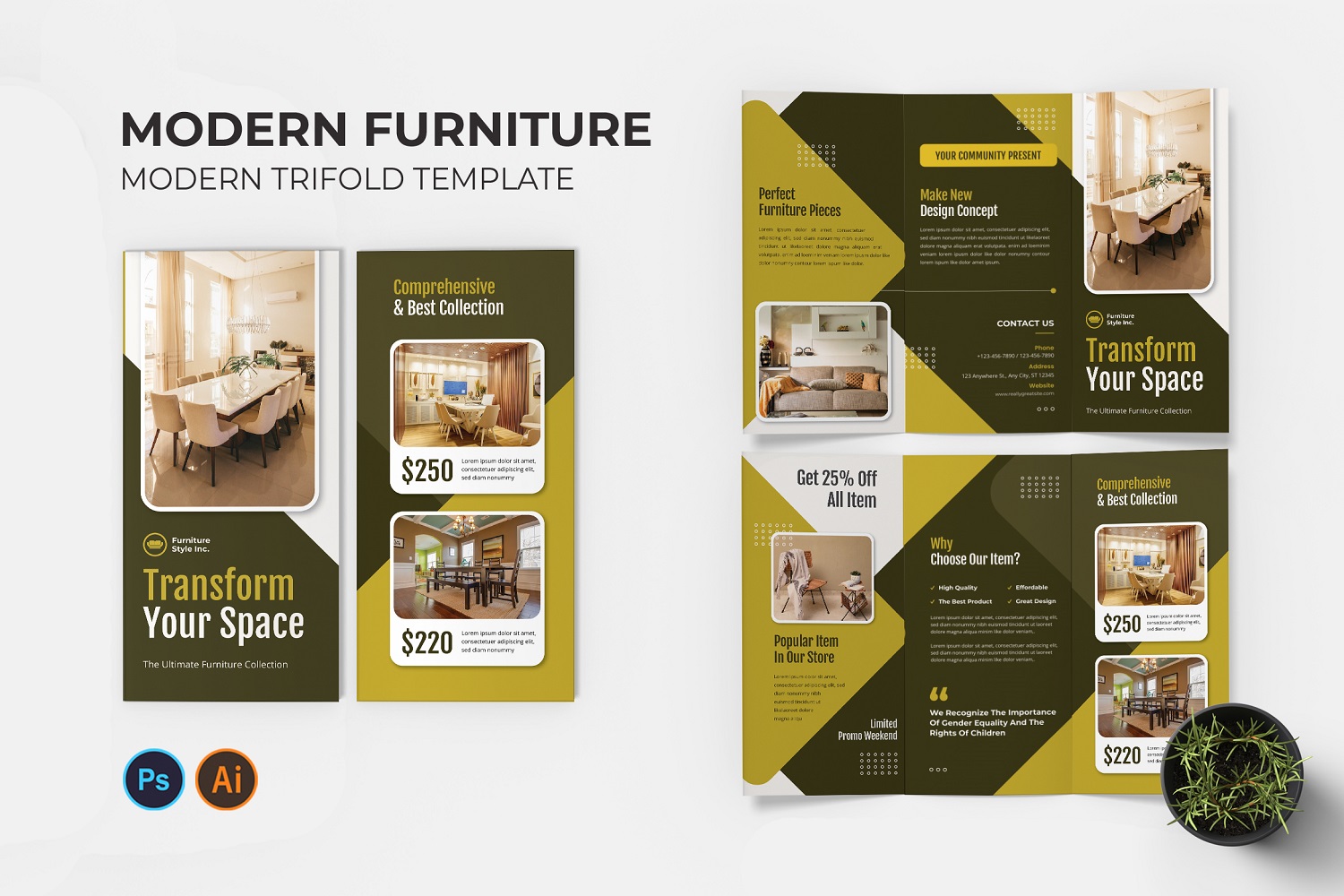 Modern Furniture Trifold Brochure