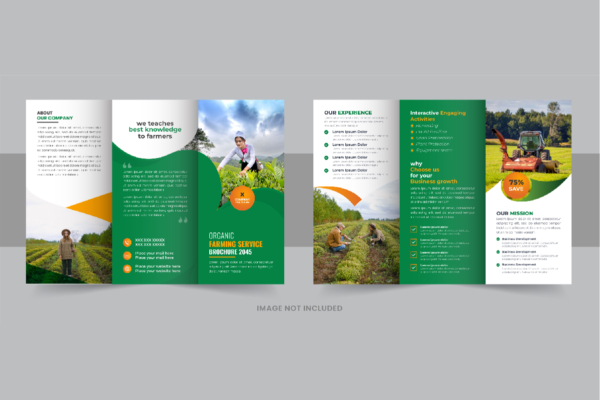 Gardening or Lawn Care TriFold Brochure Design