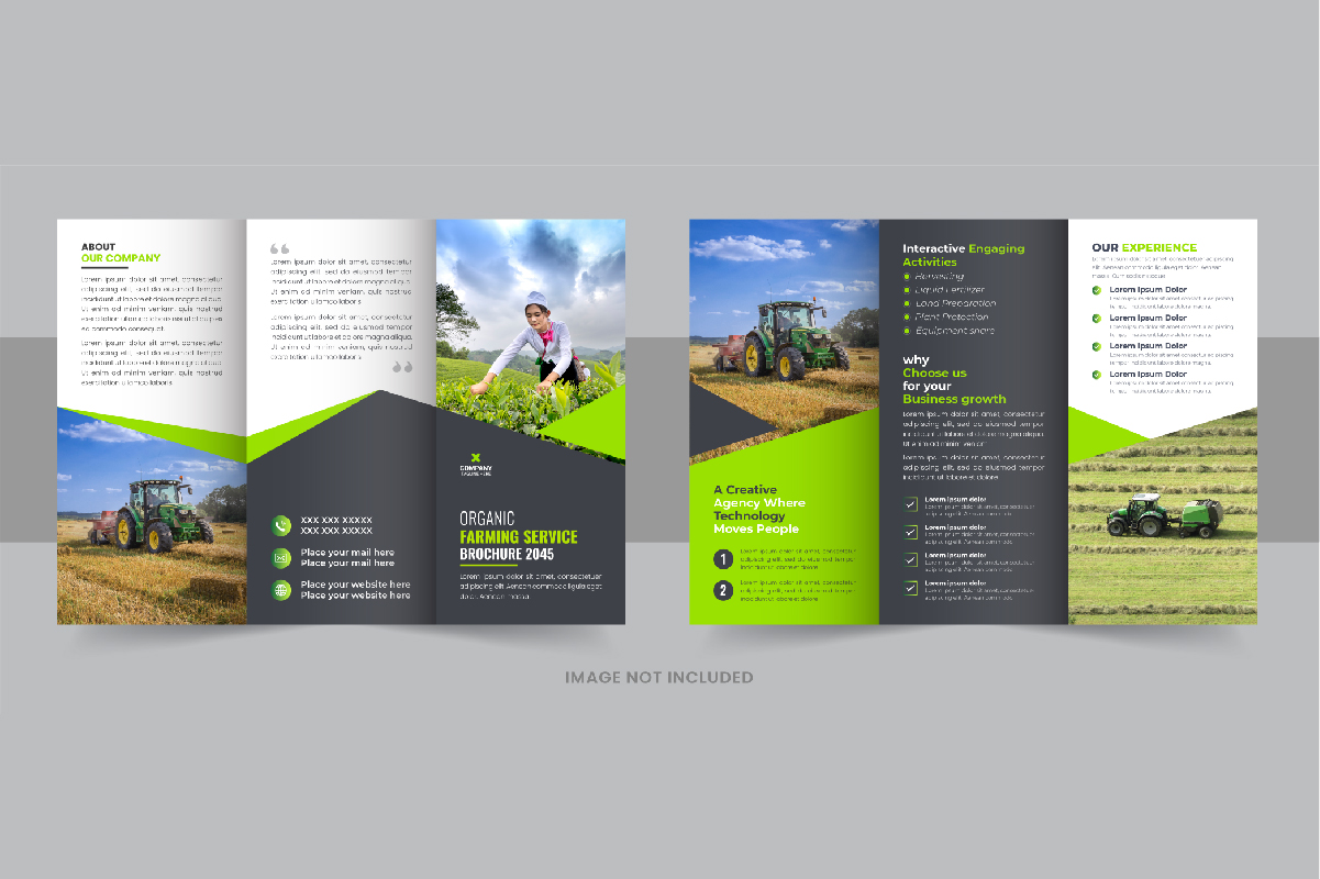 Gardening or Lawn Care TriFold Brochure Design Vector