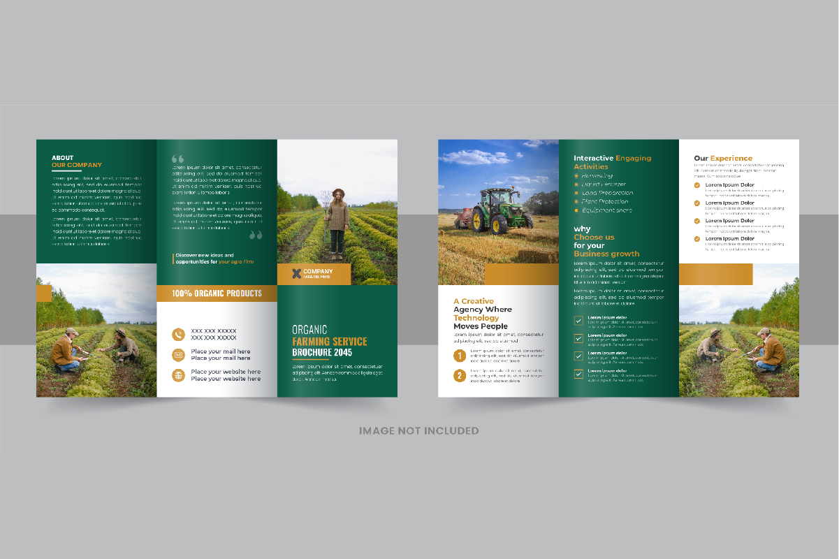 Gardening or Lawn Care TriFold Brochure Design Layout Vector