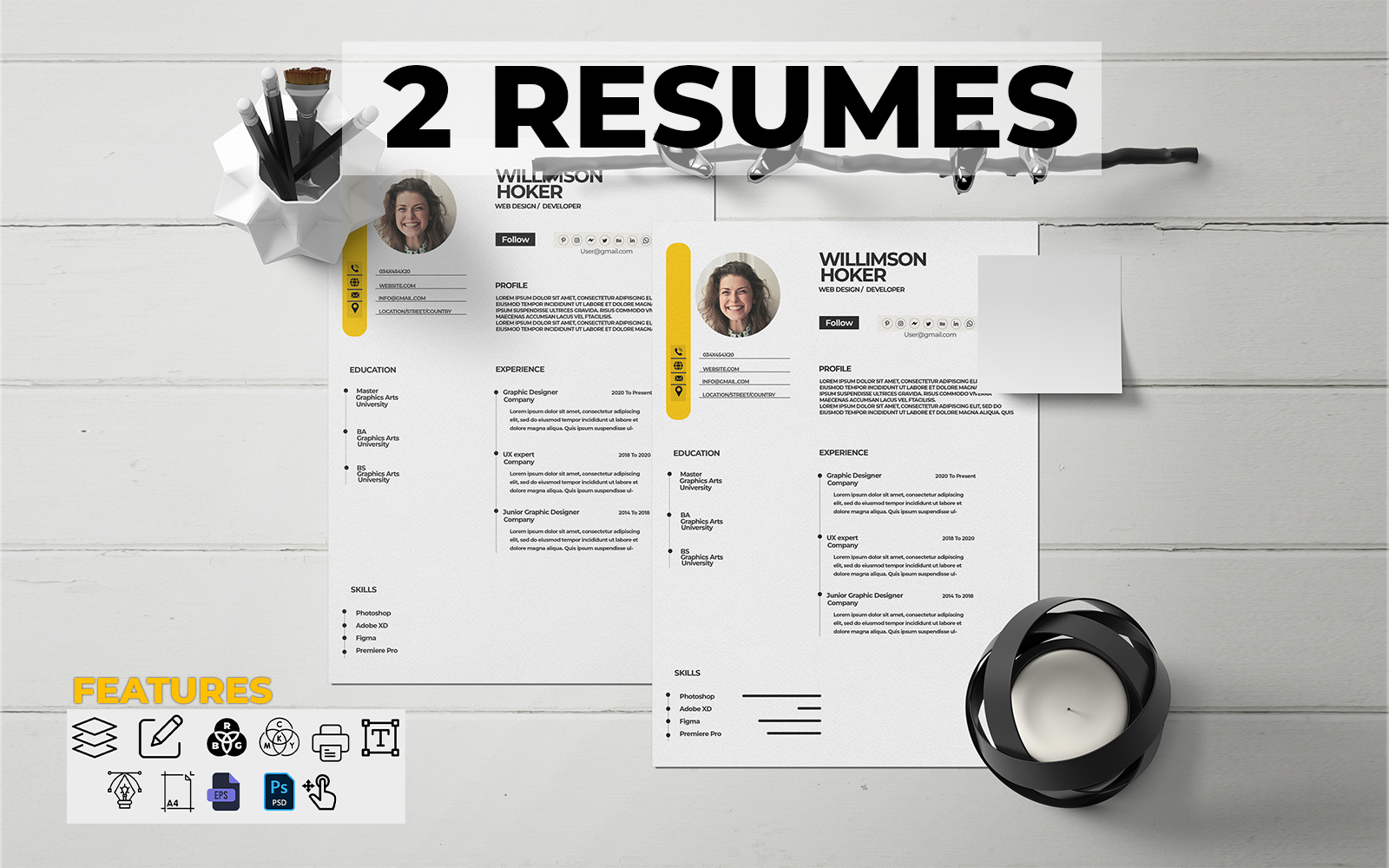 Willison 2 Resume Template