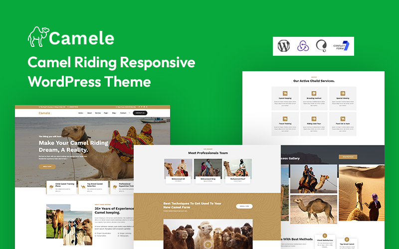 Camele - Camel Riding Responsive WordPress Theme