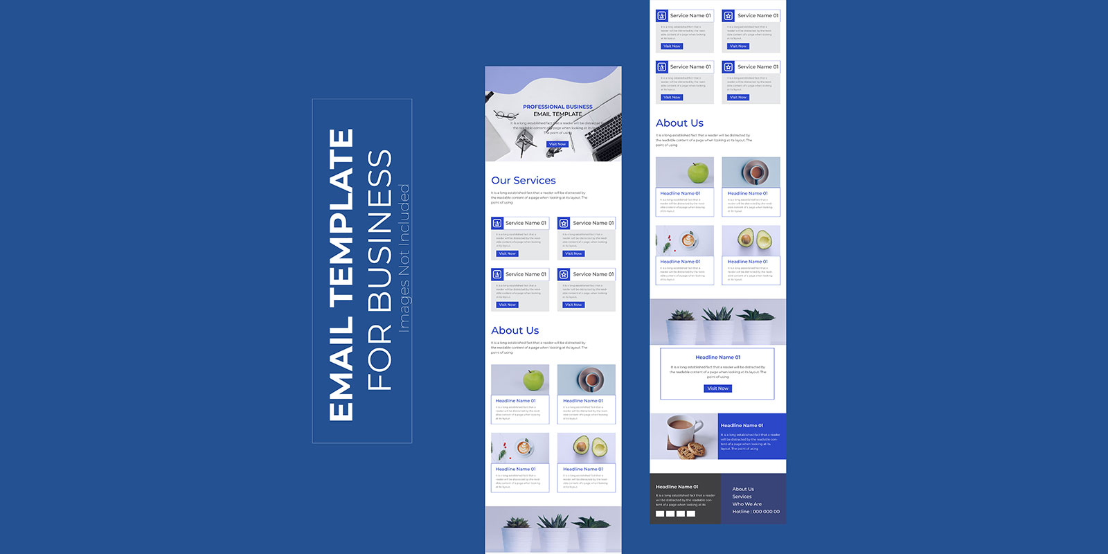 Professional Email Marketing Template