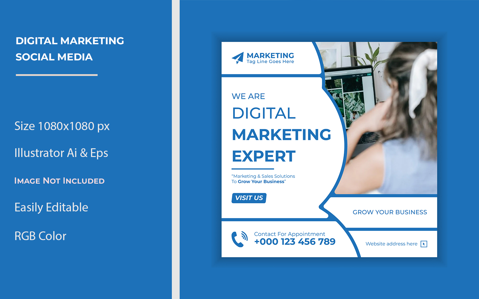 Digital Marketing Expert on Social Media Template