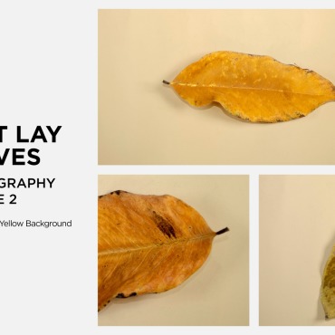 Lay Leaf Backgrounds 361205