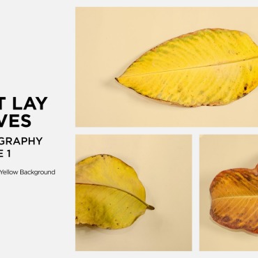 Lay Leaf Backgrounds 361206