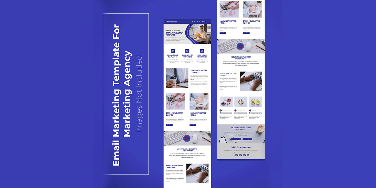 Responsive marketing newsletter template for business