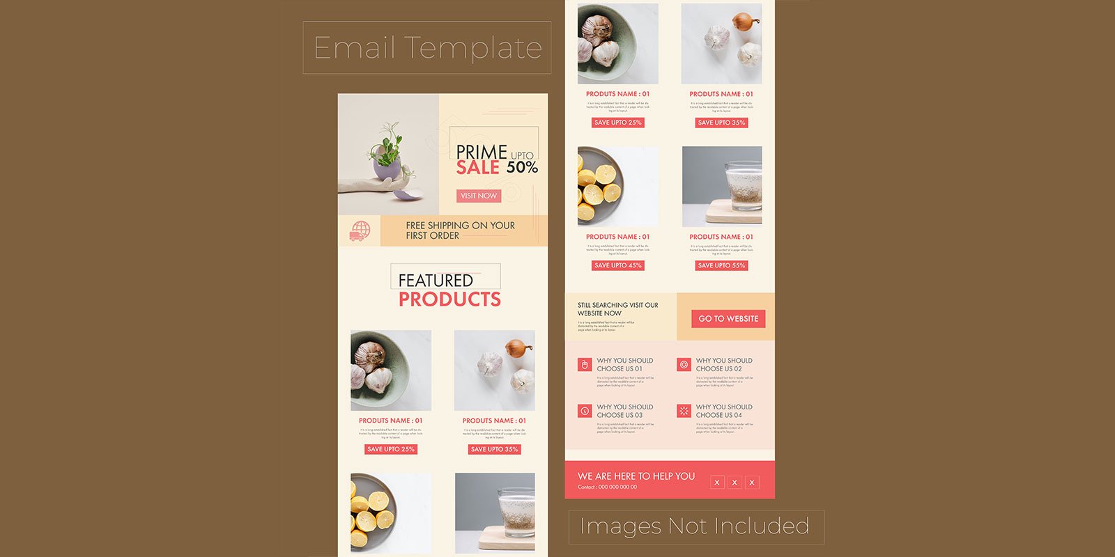 Fashion Product Promotion Email Newsletter Template