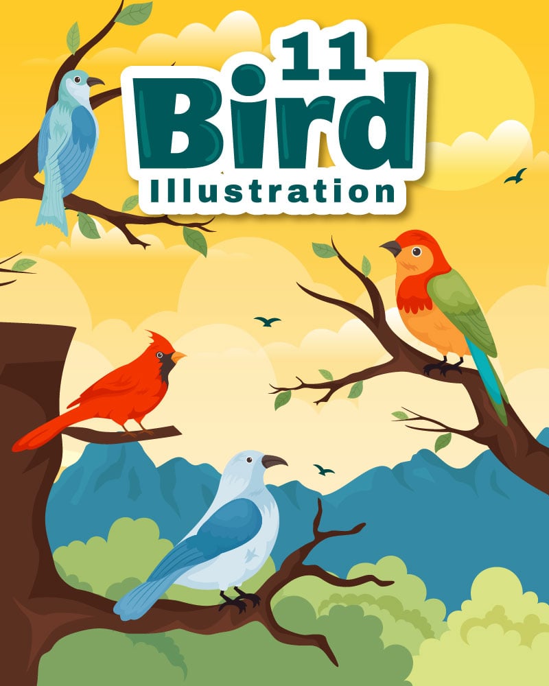 11 Bird Animal Vector Illustration