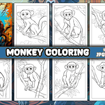 Kdp Interior  363261