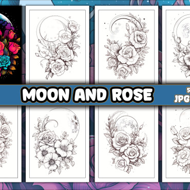 Kdp Interior  363262