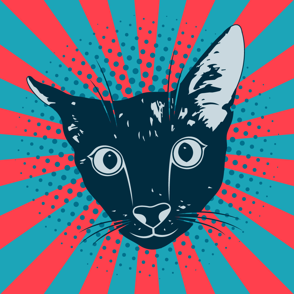 A vector cat in a pop art style, with a colorful striped and halftone background