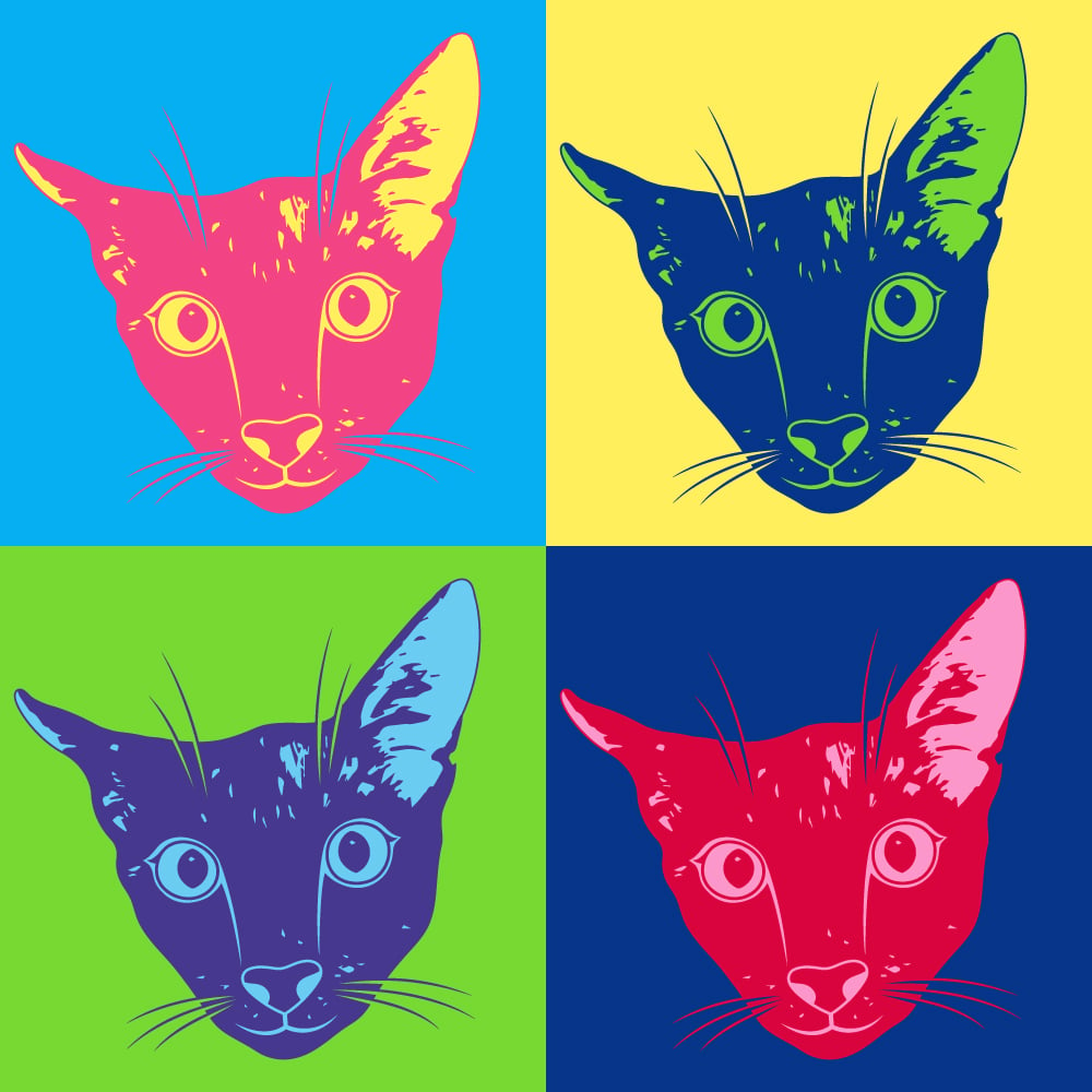 A vector cat with different colors in a pop art style, with a colorful background