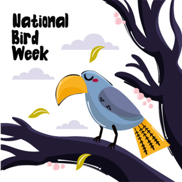 National Bird Illustrations Templates 364843