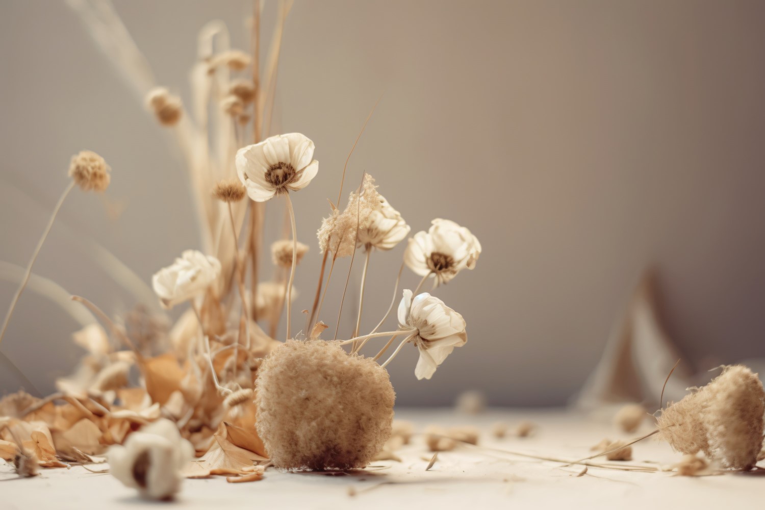 Dried Flowers Still Life White Flora 26