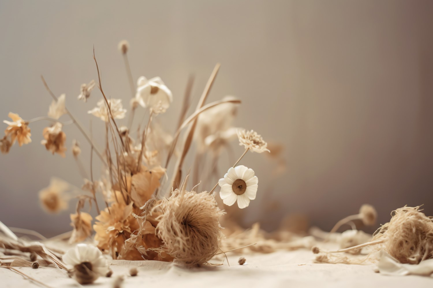 Dried Flowers Still Life White Flora 58