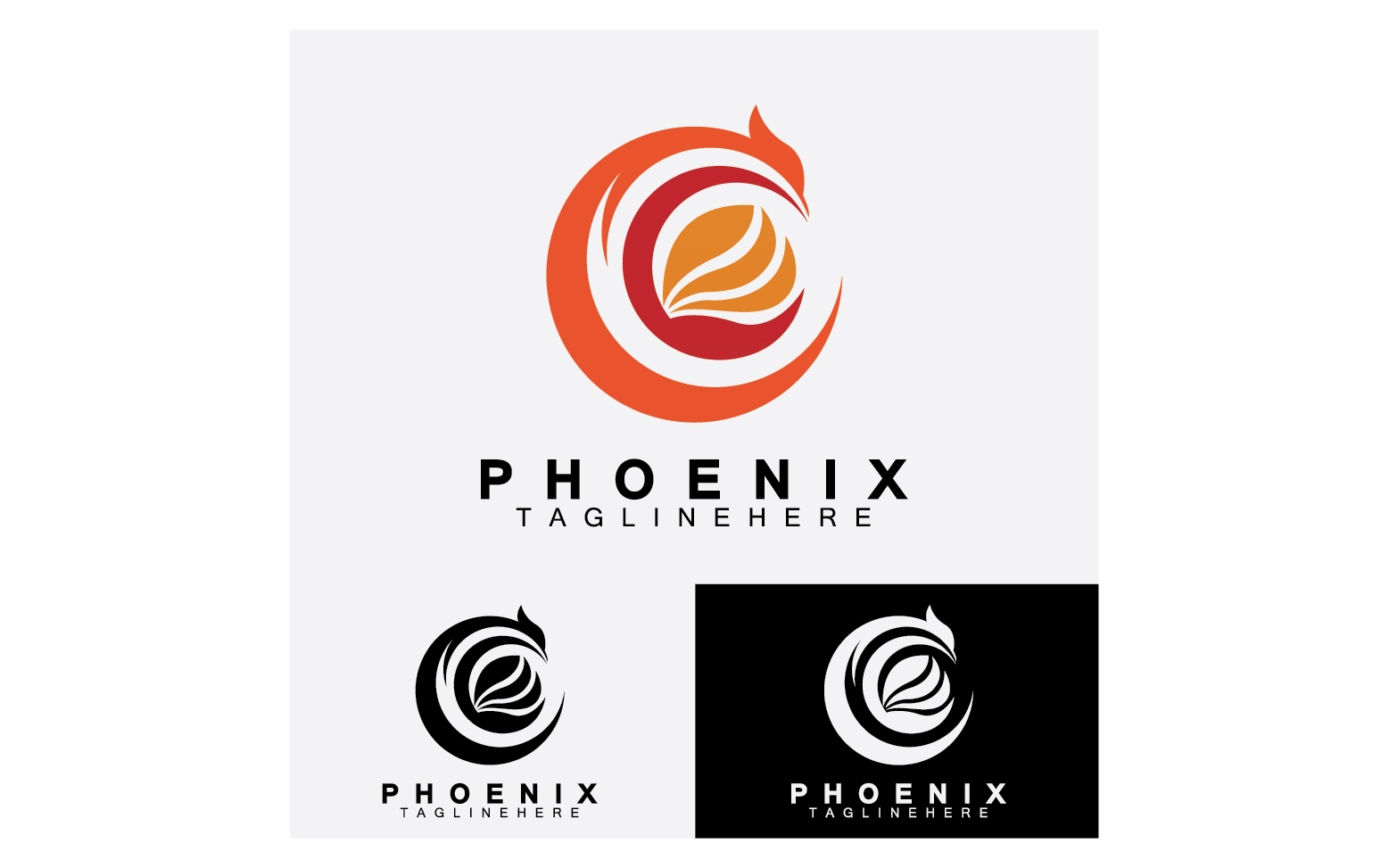 Phoenix bird template logo vector v18