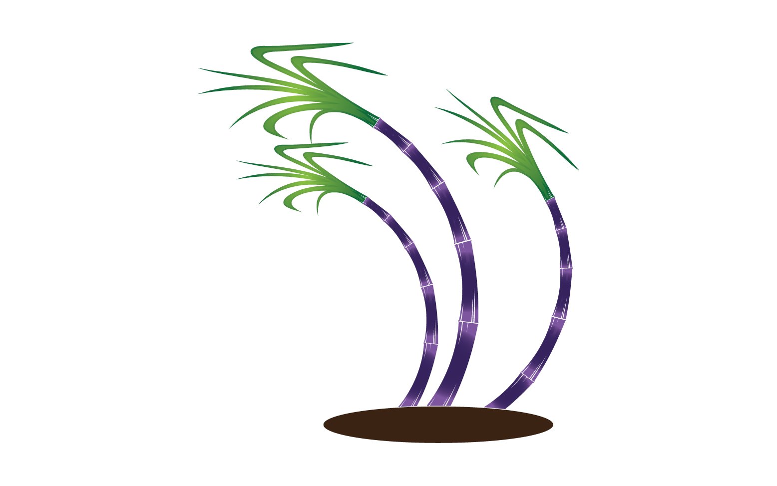 Sugar tree template vector logo v4