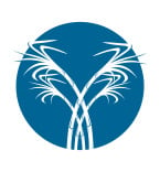 Logo Templates 365504