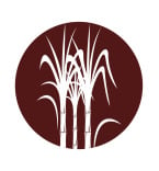 Logo Templates 365517