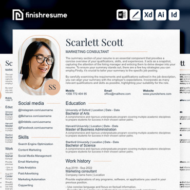 Cv Consultant Resume Templates 366268