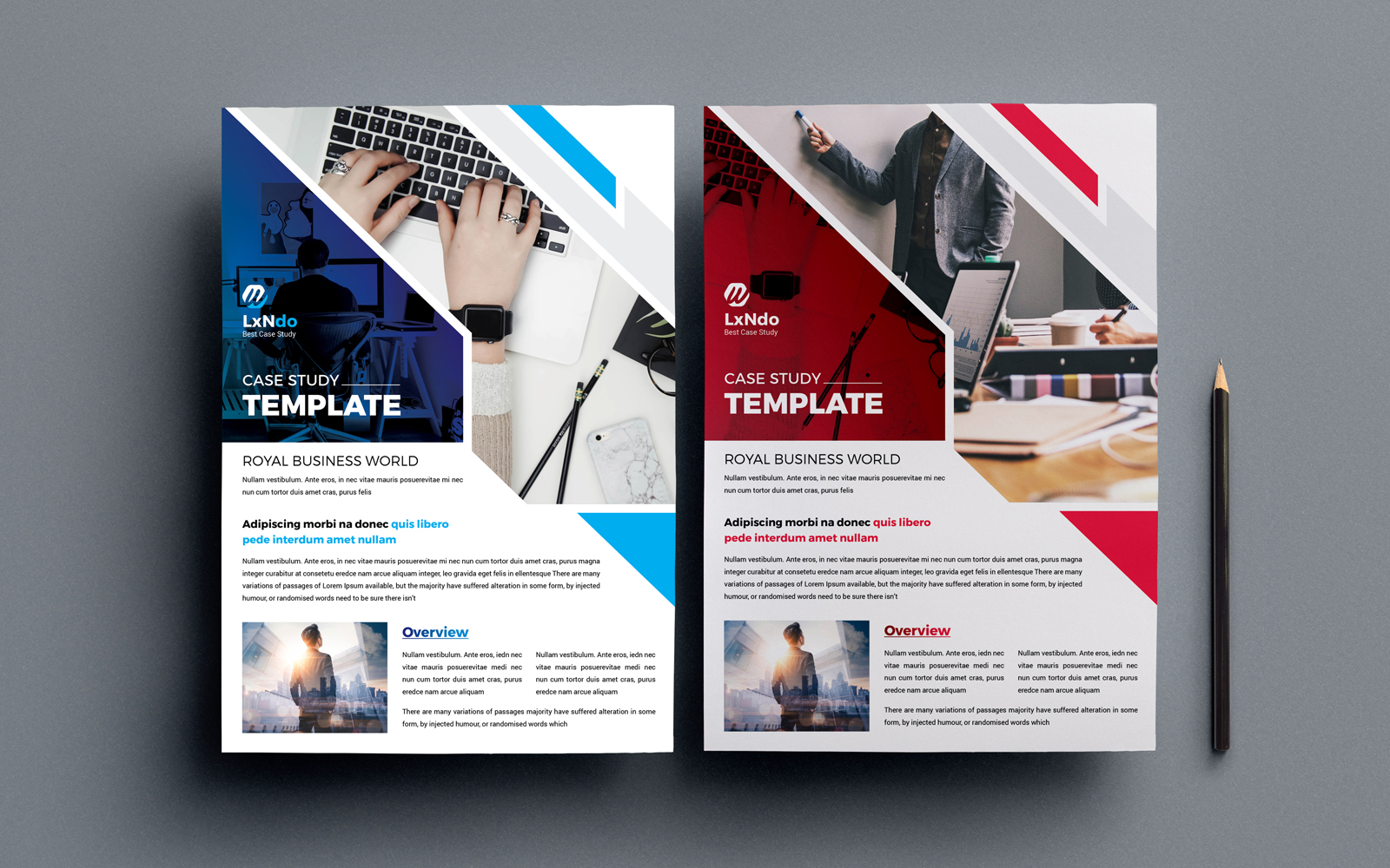 Blue and Red Case Study Template