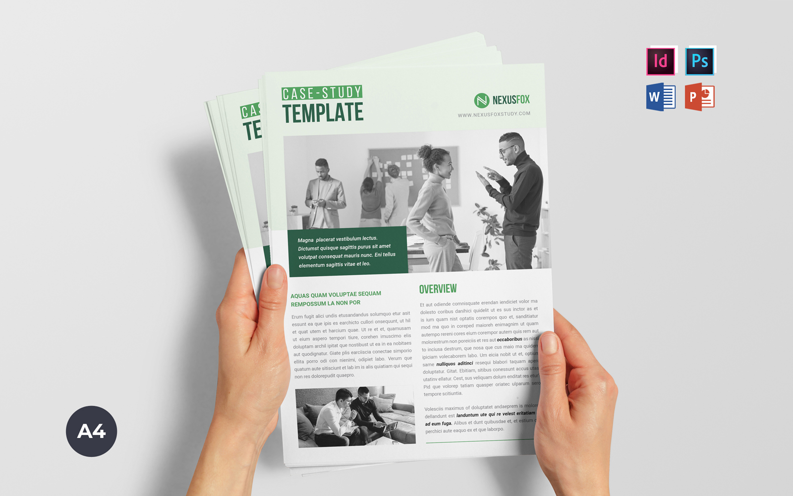 Modern Business Case Study Template