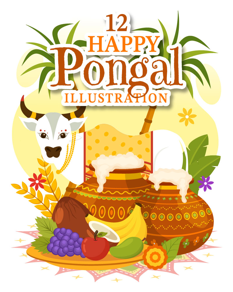 12 Happy Pongal Illustration