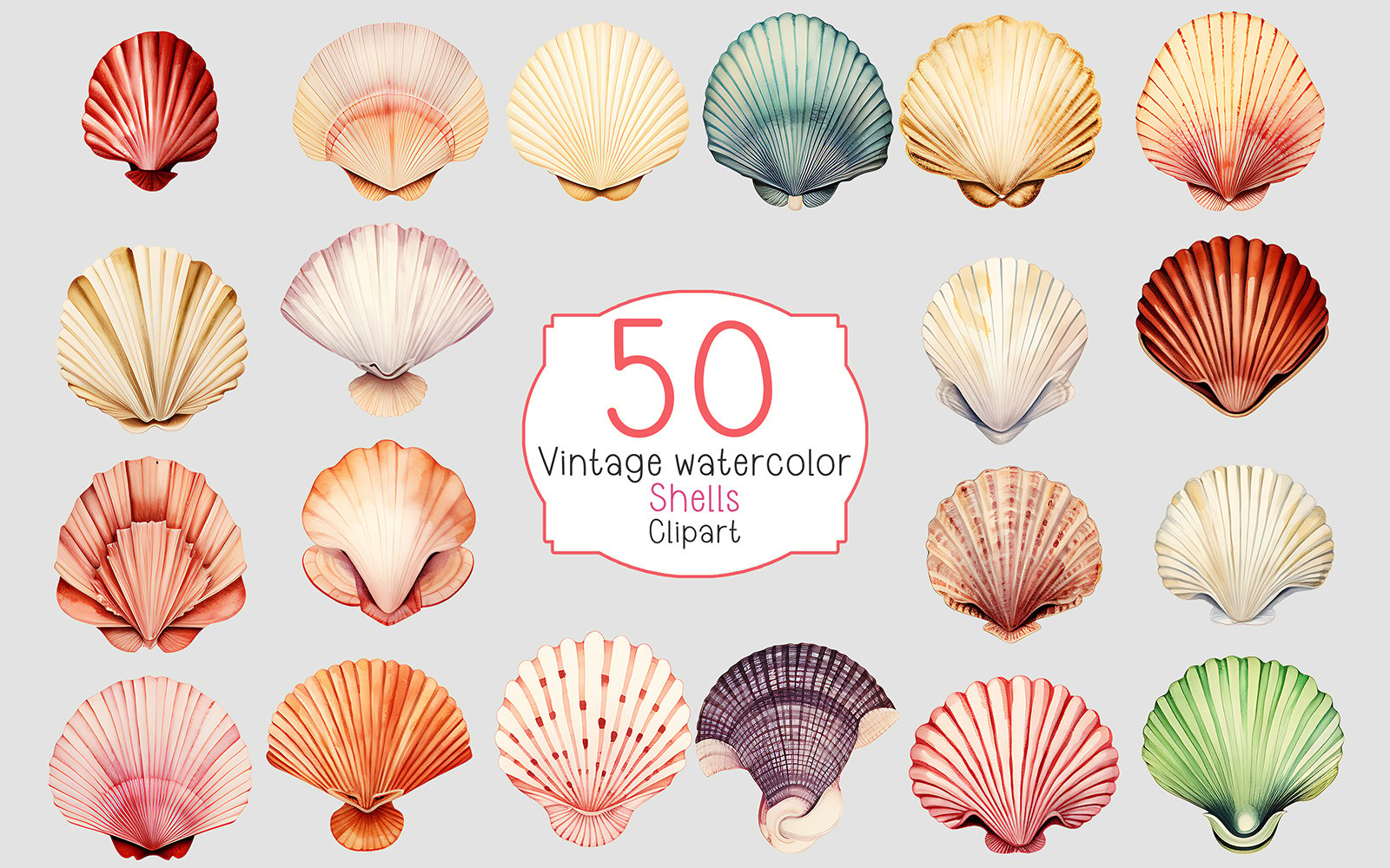 Retro vintage watercolor shells set on transparent background