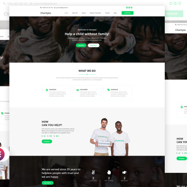 Campaign Causes WordPress Themes 369242