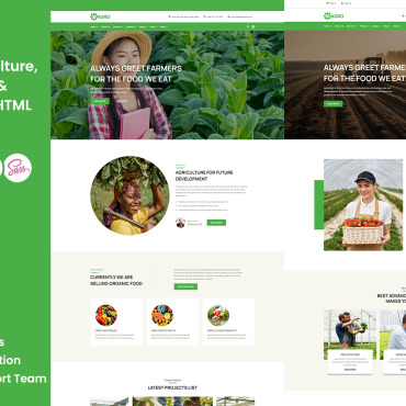 Agriculture Beef Responsive Website Templates 369640