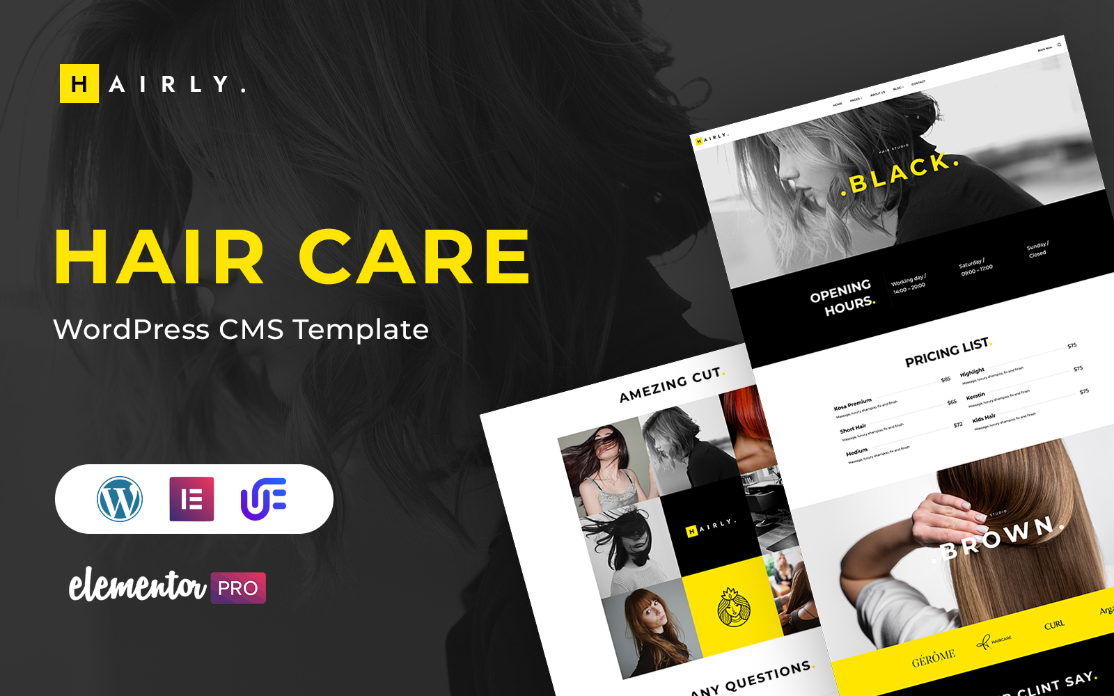 Hairly - Hair Care And Hair Salon Wordpress Theme