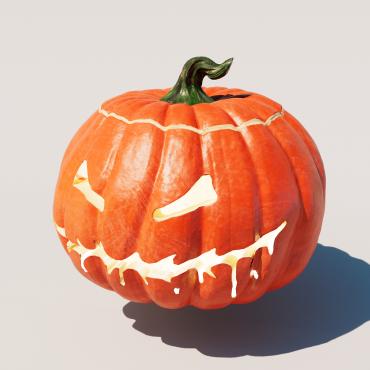 <a class=ContentLinkGreen href=></a></font> citrouille november 369863